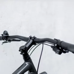 Trek District 4 EQ L Lithium Grey - WERKSTATT17 Bikeshop -Fahrradladen District4Equipped 21 33497 A Alt8