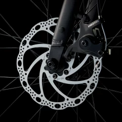 Trek Dual Sport 1 L Mercury - WERKSTATT17 Bikeshop -Fahrradladen DualSport1 23 36824 A Alt4