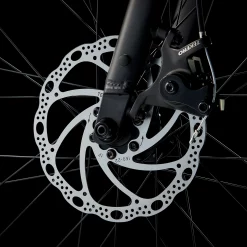 Trek Dual Sport 1 L Alpine Blue - WERKSTATT17 Bikeshop -Fahrradladen DualSport1 23 36824 B Alt4