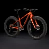 Trek Farley 9.6 S Lava - WERKSTATT17 Bikeshop -Fahrradladen Farley96 23 37020 A Portrait