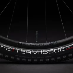 Trek Procaliber 9.6 M 29 Volt/Raw Carbon - WERKSTATT17 Bikeshop -Fahrradladen Procaliber96 22 35113 B Alt5