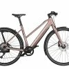 Riese & Müller GmbH RIESE & MÜLLER UBN Seven Touring | 51cm | Rose | Sofort Verfügbar -Fahrradladen RIESE MUeLLER UBN Seven touring 51cm rose sofort verfuegbar RUM22497494 b 0
