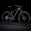 Trek Roscoe 6 M Purple Flip/Trek Black - WERKSTATT17 Bikeshop -Fahrradladen Roscoe6 21 33192 B Portrait