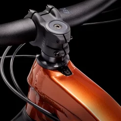 Trek Slash 8 GX L 29 Pennyflake - WERKSTATT17 Bikeshop -Fahrradladen Slash8GX 23 36731 A Alt6