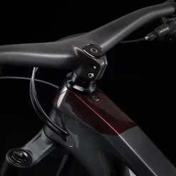 Trek Slash 9.9 XTR XL 29 Lithium Grey - WERKSTATT17 Bikeshop -Fahrradladen Slash99XTR 22 35220 A Alt6