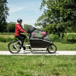 URBAN ARROW FAMILY Regenzelt Plus 2023 | Zubehör